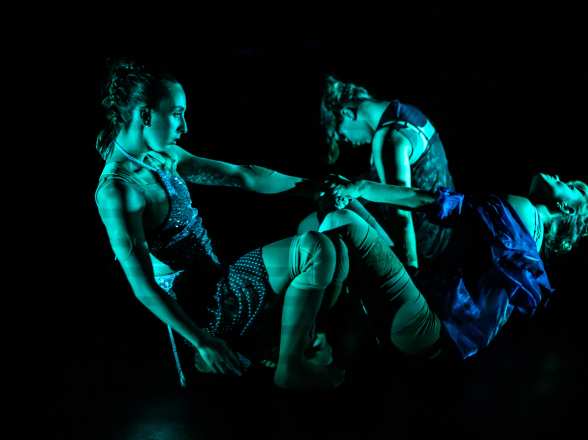 Spectacle .es de la compangie poesis pour la journée des droits des femmes