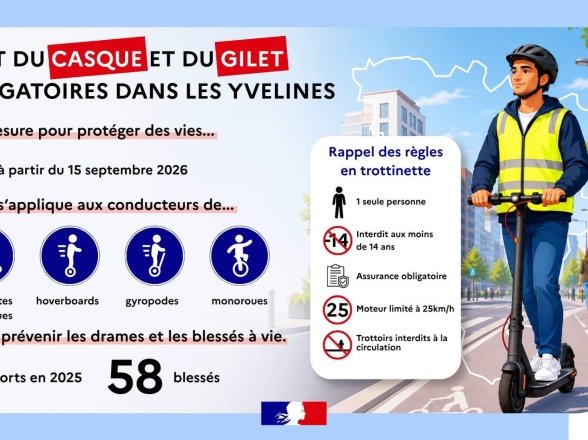 Trottinettes électriques
