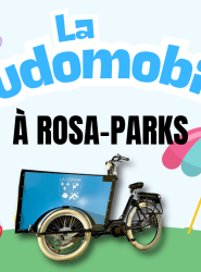 Ludomobile
