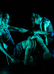 Spectacle .es de la compangie poesis pour la journée des droits des femmes